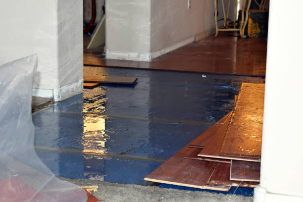 Professional Water Extraction technician working in Leander, TX